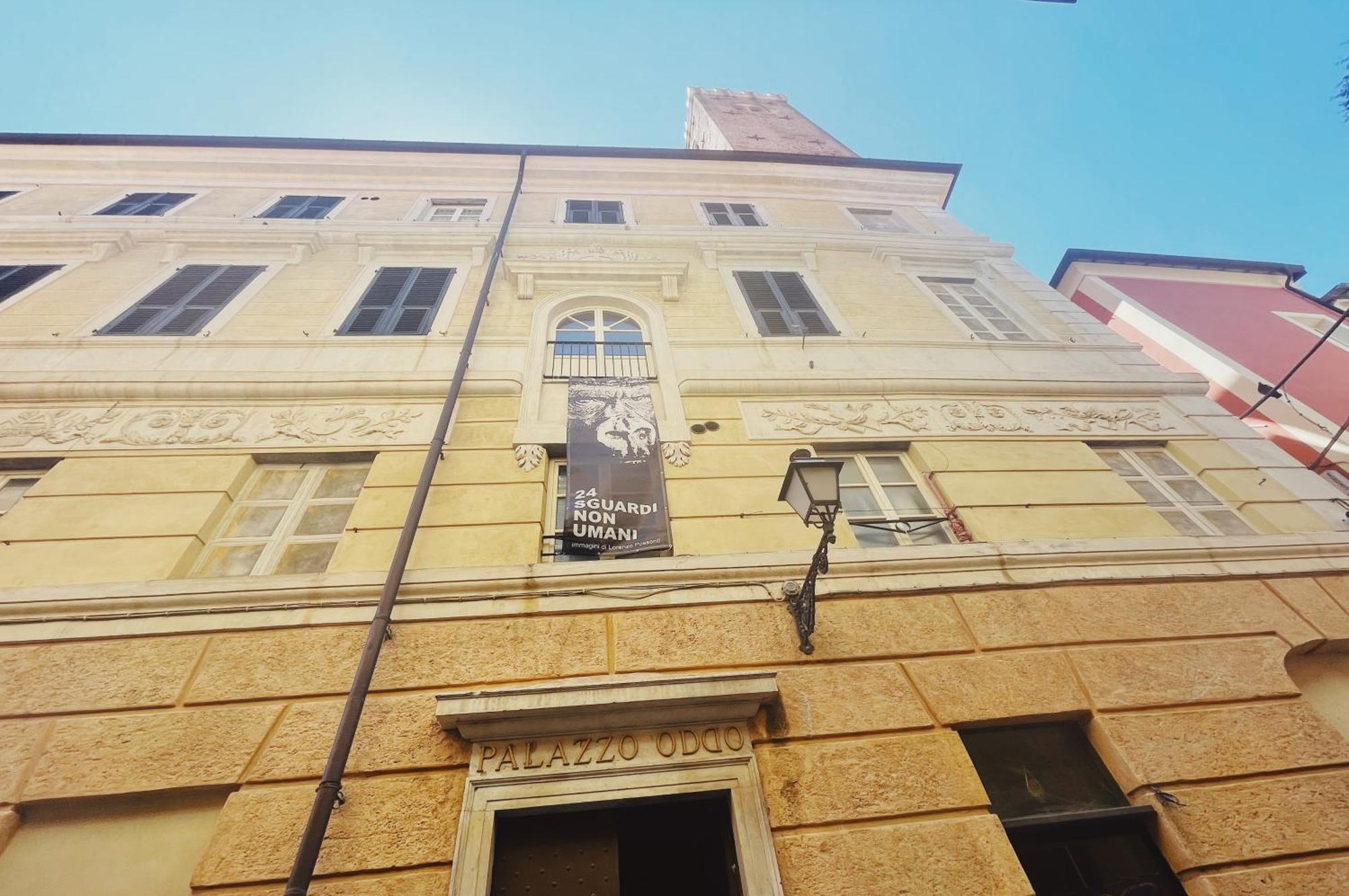 Palazzo Oddo Rental Rooms Albenga Eksteriør billede